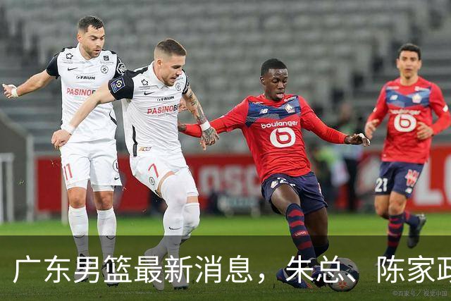 广东男篮最新消息，朱总、陈家政参加品牌方活动 徐杰特训进行时！
